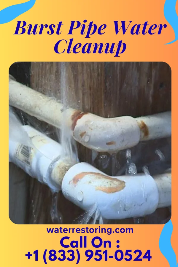 Burst Pipe Water Cleanup in Franklin, OH