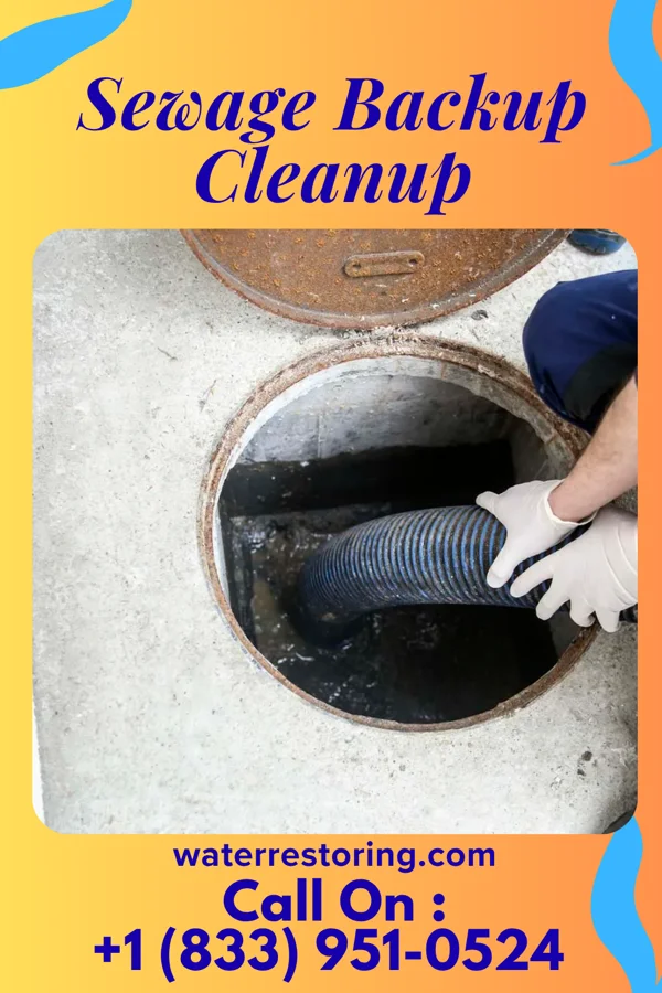 Sewage Backup Cleanup in Franklin, OH
