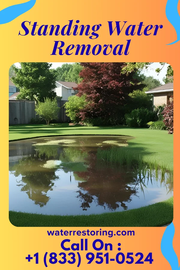 Standing Water Removal in Franklin, OH